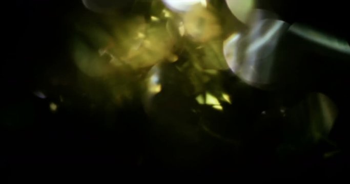 Light Leaks Element 304