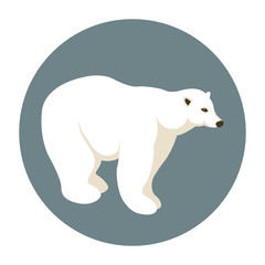 polar bear vector illustration style Flat