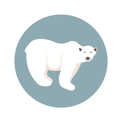polar bear vector illustration style Flat