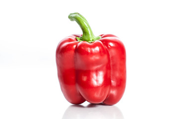 Red paprika concept isolated on white.