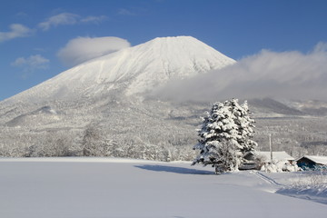 冬の羊蹄山麓