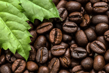 Coffee beans