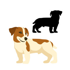 jack russell terrier  dog vector illustration style Flat