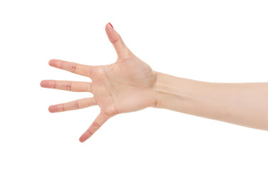 Counting woman hands five.