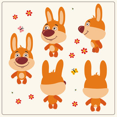 Funny bunny rabbit in turns. Set cute bunny rabbit in different poses turn.