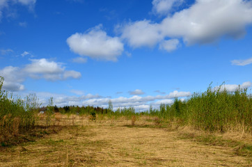 Obraz premium Fields near the garden in Russia