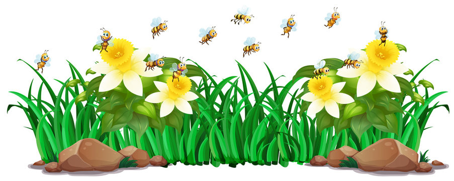 Garden scene with flowers and bees