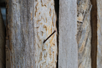 nail on wood