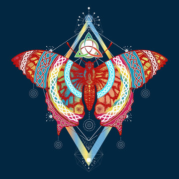 Butterfly t-shirt design. Symbol of freedom, travel