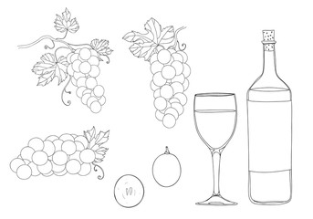 grapes hand drawn vector set line  art illustration