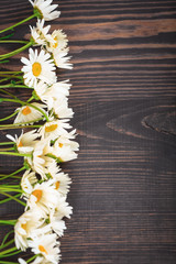 Obraz premium Daisy chamomile flowers on wooden background.