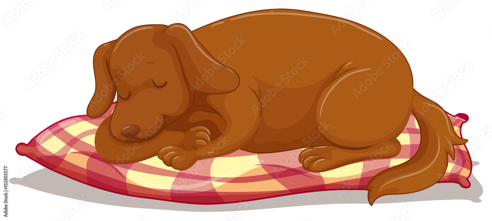 Wall mural cute puppy sleeping on mattress