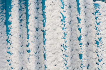 background texture of snow on the gland