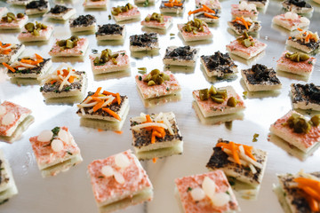 Different kinds of appetizers with olives and vegetables