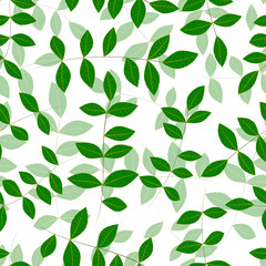 Spring natural fresh green leaves on white  Background. Vector Illustration, seamless pattern with clipping mask,  EPS10
