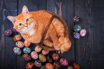 Cat sitting in the basket on a wooden background with Easter eggs.