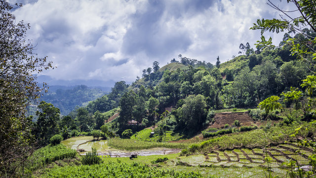 Ella landscape, Uva province, Sri Lanka