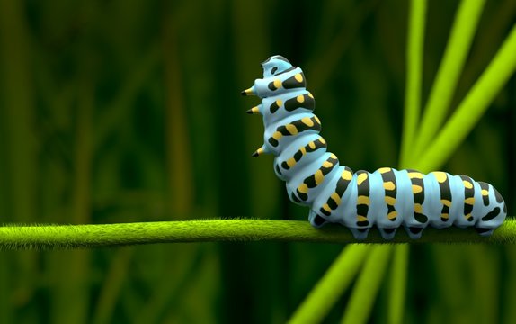 Blue Caterpillar Alone And Lover  3D Rendering