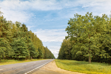 The road through the forest.