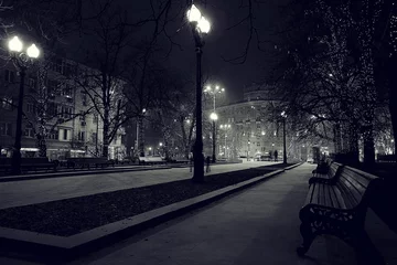 Photo sur Plexiglas Hiver winter night in the park