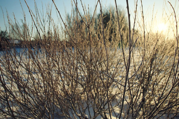 Fototapeta na wymiar Fresh snow winter background in nature