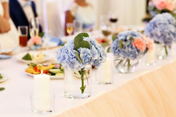 Tender bouquets of blue hydrangeas stand in glasses on dinner ta