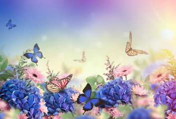 Amazing background with hydrangeas and daisies. Yellow and blue flowers on a white blank. Floral card nature. bokeh butterflies.
