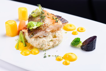 Fine dining, fish fillet breaded in herbs and spice on vegetable risotto.