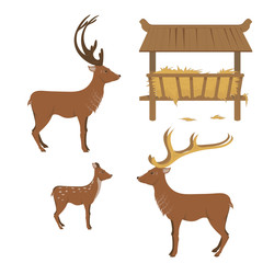 Naklejka premium set deer feeder