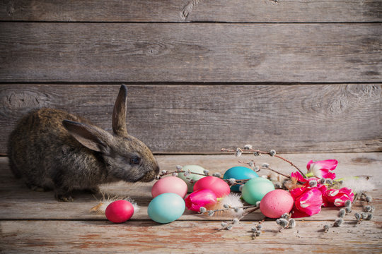 rabbit with Easter eggs on wooden background
