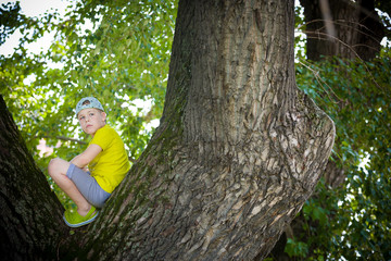 Portrait of cute kid boy sitting on the big old tree on sunny day.  Child climbing a tree. little boy sitting on tree branch. Outdoors. Sunny day. Active boy playing in the garden. Lifestyle concept