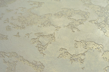 chameleon relief effect decorative plaster art background for interior