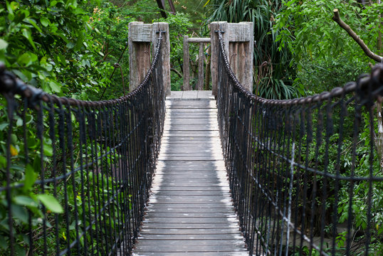 Fototapeta the rope bridge