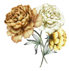 yellow peonies. watercolor flowers. floral illustration in Pastel colors. bouquet of flowers isolated on white background. Leaf. Romantic composition for wedding or greeting card.