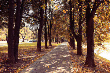 blurred background path in autumn city park