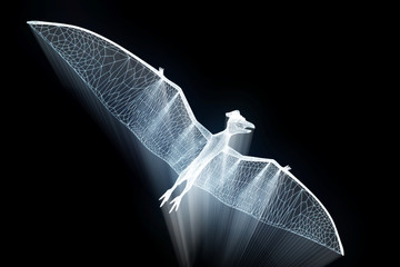 Dinosaur Pteranodon in Hologram Wireframe Style. Nice 3D Rendering   © bombastic80