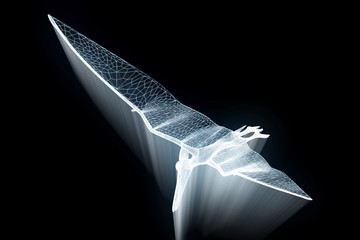 Dinosaur Pteranodon in Hologram Wireframe Style. Nice 3D Rendering   © bombastic80