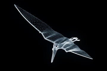 Dinosaur Pteranodon in Hologram Wireframe Style. Nice 3D Rendering   © bombastic80