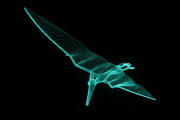 Dinosaur Pteranodon in Hologram Wireframe Style. Nice 3D Rendering   © bombastic80