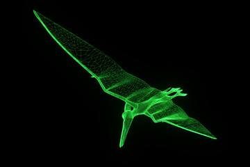 Dinosaur Pteranodon in Hologram Wireframe Style. Nice 3D Rendering   © bombastic80
