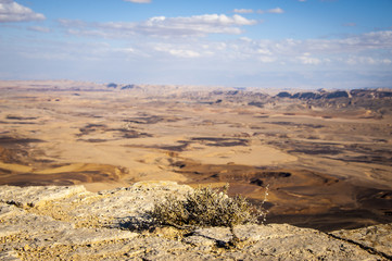 desert negev