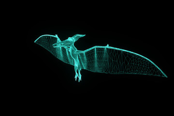 Dinosaur Pteranodon in Hologram Wireframe Style. Nice 3D Rendering   © bombastic80