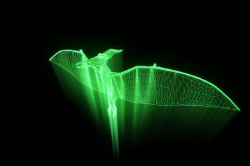Dinosaur Pteranodon in Hologram Wireframe Style. Nice 3D Rendering   © bombastic80
