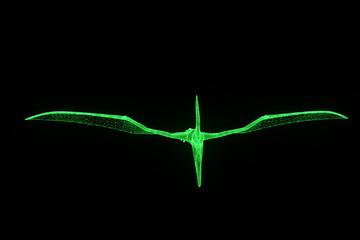 Dinosaur Pteranodon in Hologram Wireframe Style. Nice 3D Rendering   © bombastic80