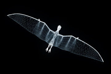 Dinosaur Pteranodon in Hologram Wireframe Style. Nice 3D Rendering   © bombastic80
