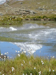 Matterhorn riflesso nel lago