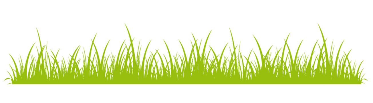 Succulent spring meadow summer meadow silhouette
