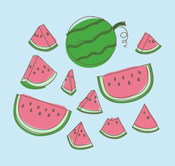 hand drawn watermelon on light blue background