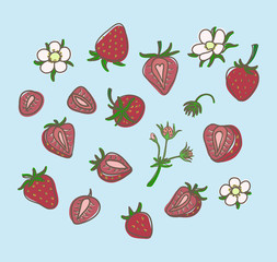 set strawberry hand drawn on light blue background. Vector illus