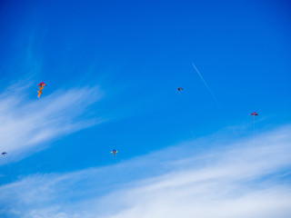 flying colourfull kites
